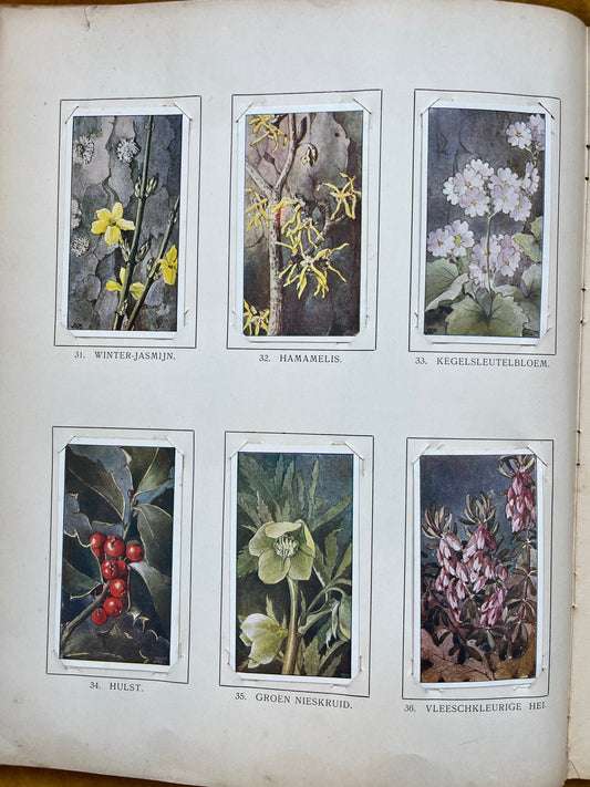 Losse Verkade plaatjes Winter (1909) 31-36