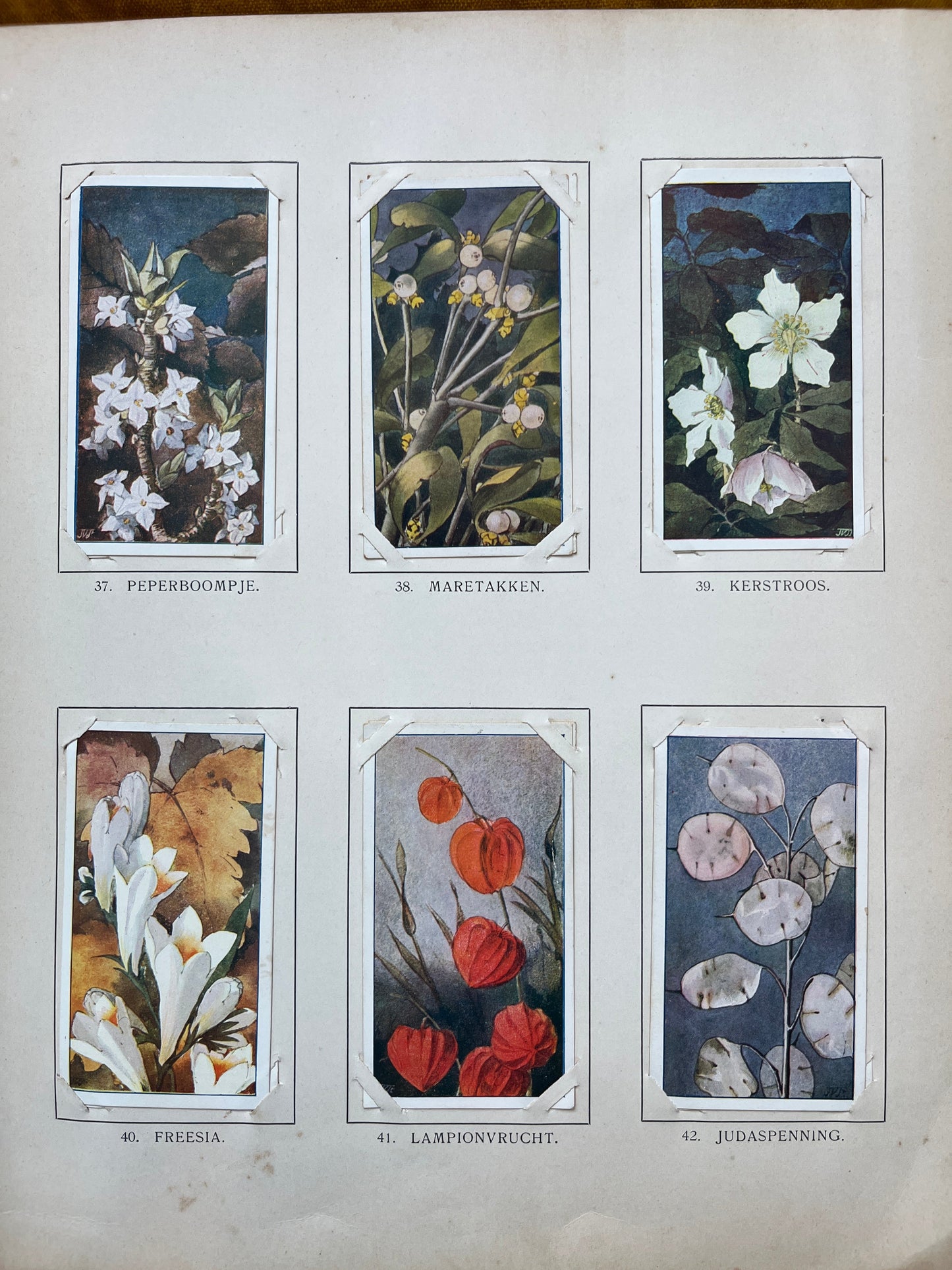 Losse Verkade plaatjes Winter (1909) 37-42