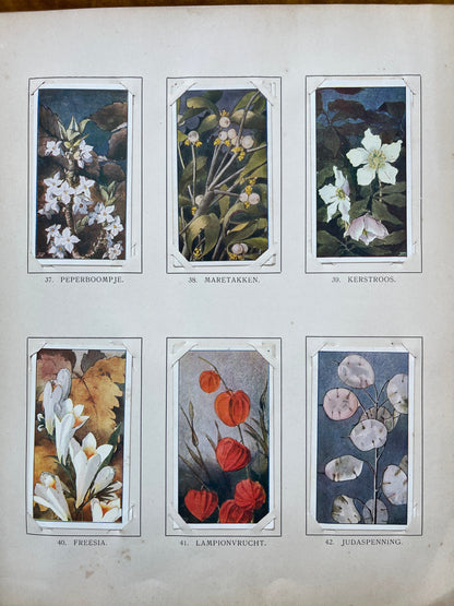 Losse Verkade plaatjes Winter (1909) 37-42