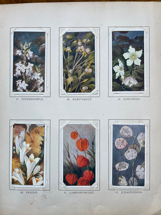 Losse Verkade plaatjes Winter (1909) 37-42