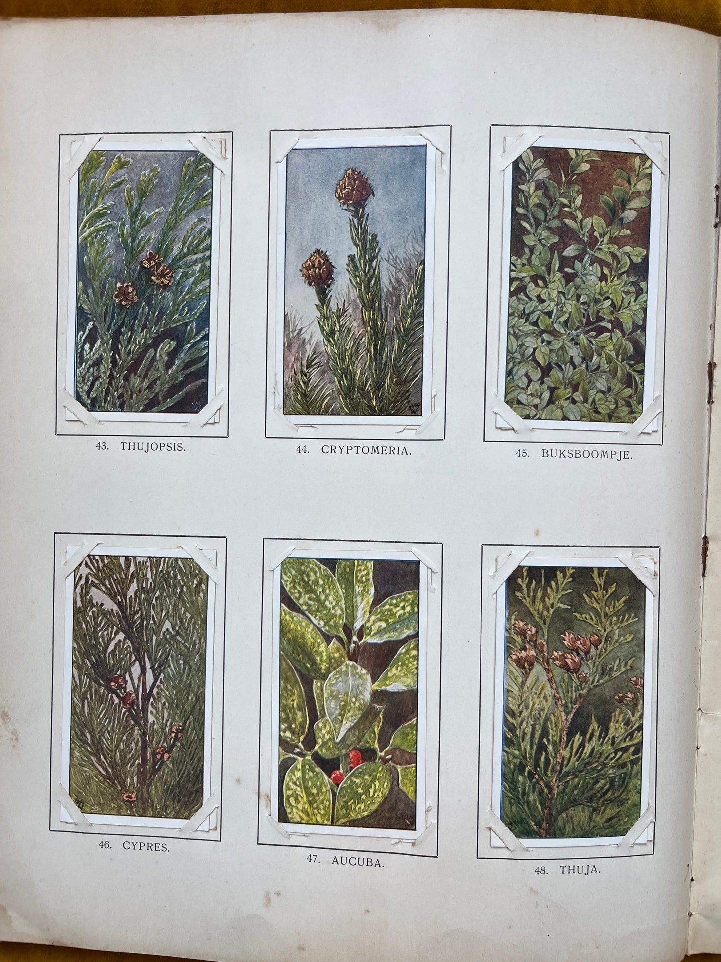 Losse Verkade plaatjes Winter (1909) 43-48