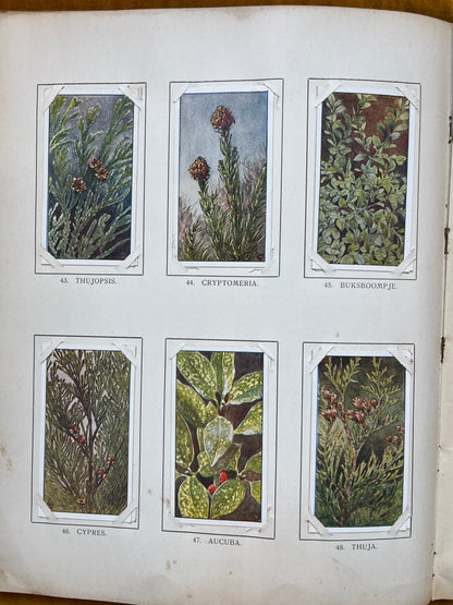 Losse Verkade plaatjes Winter (1909) 43-48