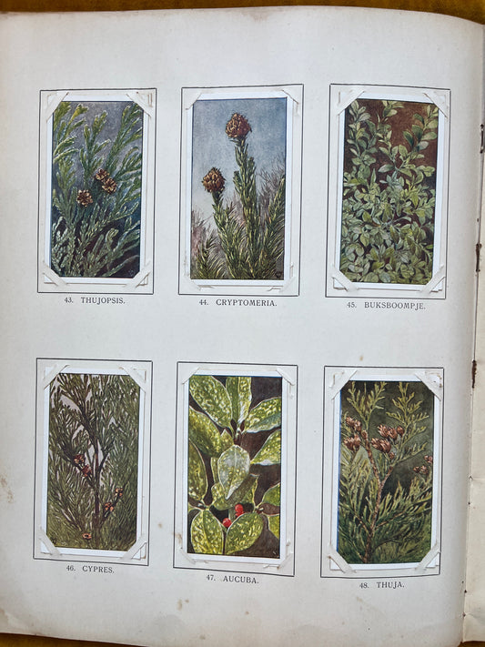 Losse Verkade plaatjes Winter (1909) 43-48