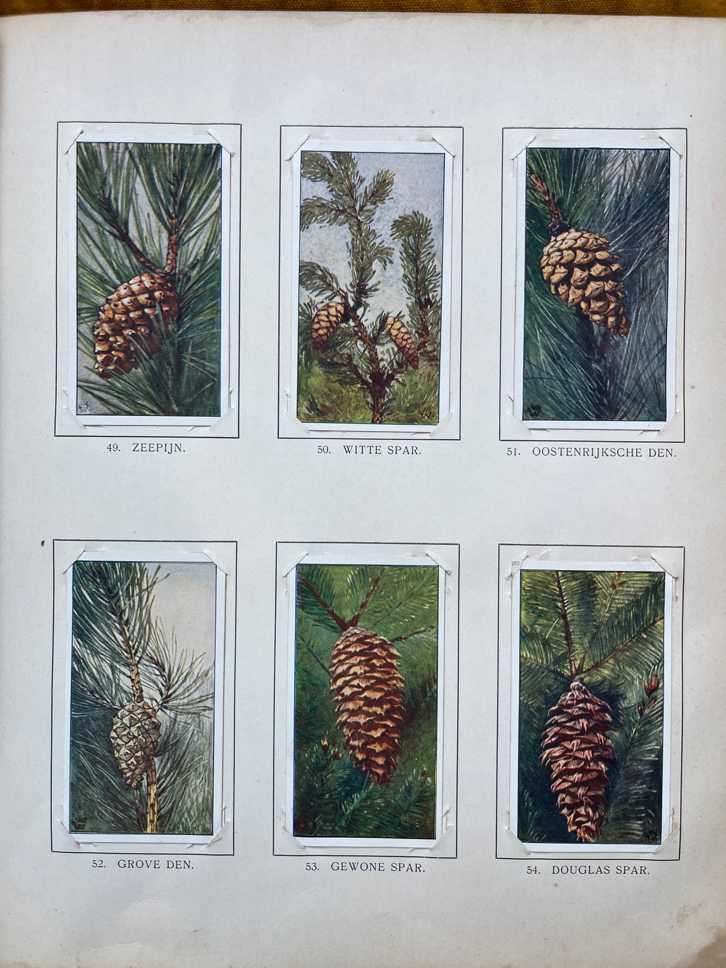 Loose Verkade pictures Winter (1909) 49-54