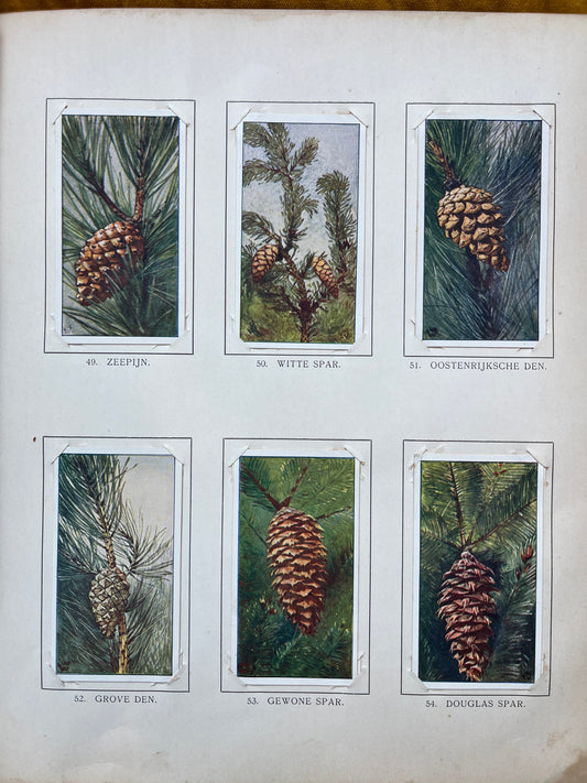 Losse Verkade plaatjes Winter (1909) 49-54