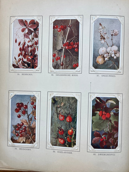 Losse Verkade plaatjes Winter (1909) 55-60