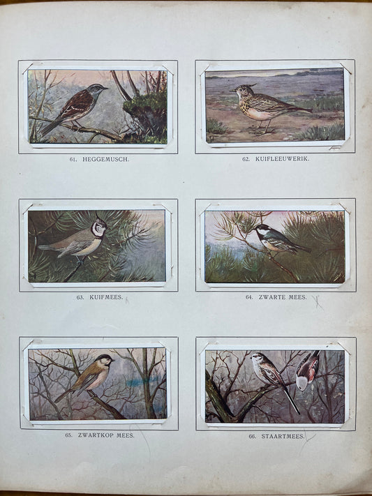 Losse Verkade plaatjes Winter (1909) 61-66