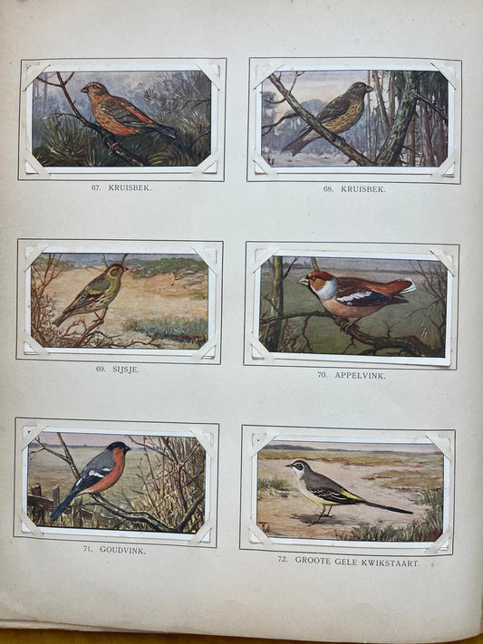 Losse Verkade plaatjes Winter (1909) 67-72