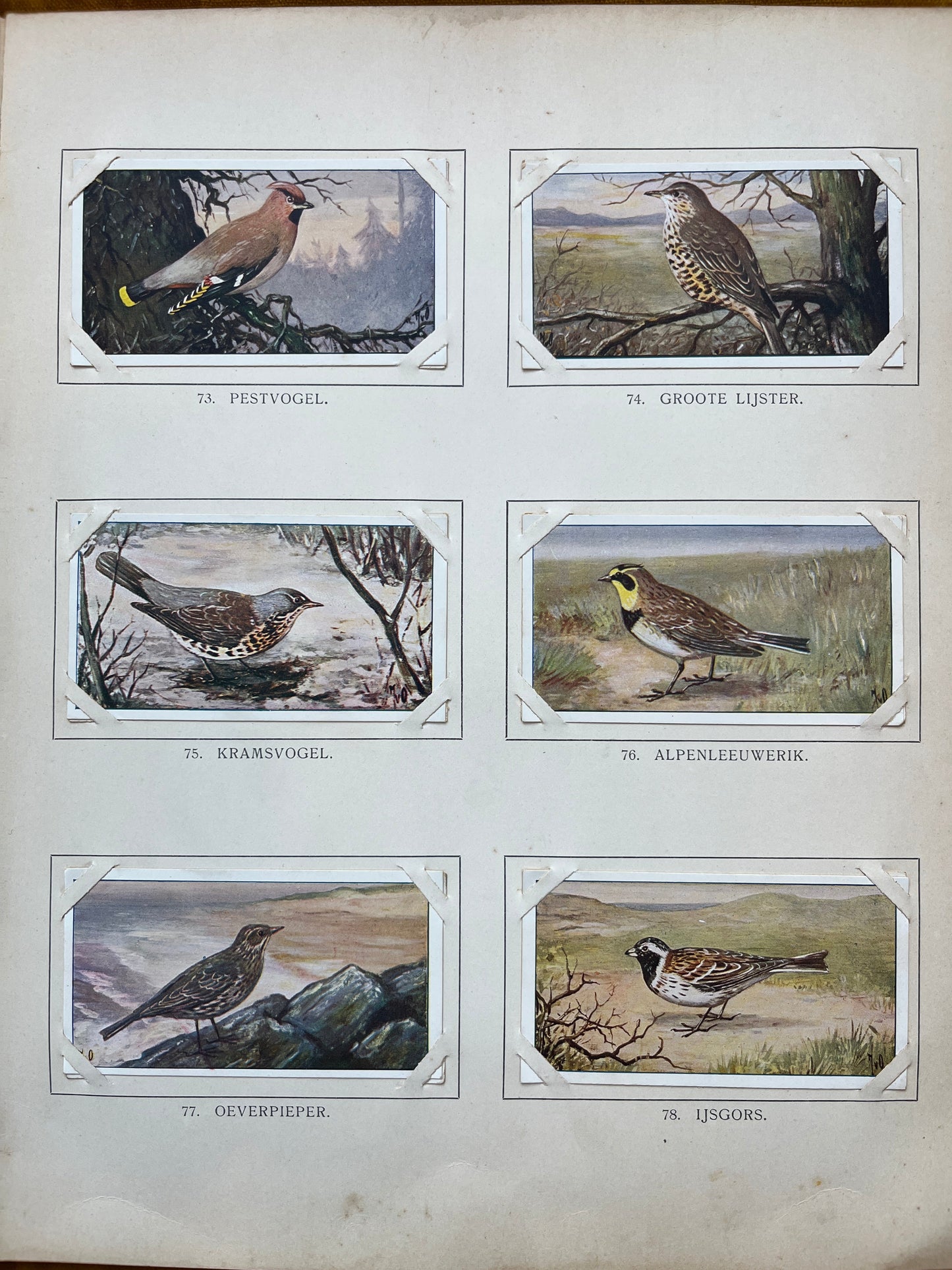 Losse Verkade plaatjes Winter (1909) 73-78