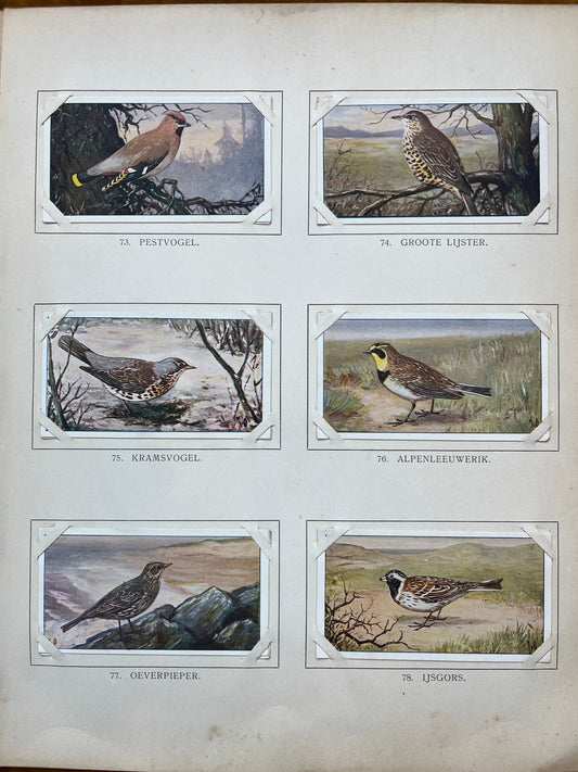 Losse Verkade plaatjes Winter (1909) 73-78