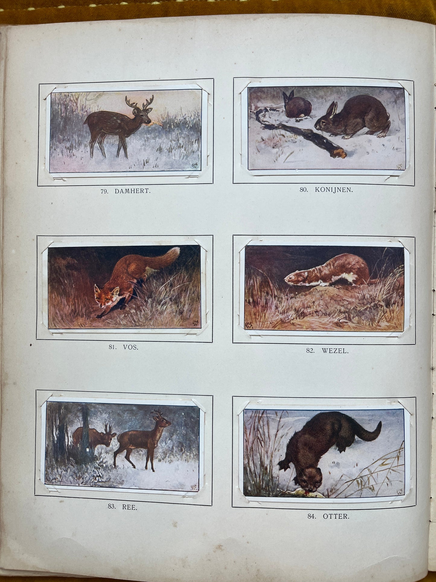 Losse Verkade plaatjes Winter (1909) 79-84