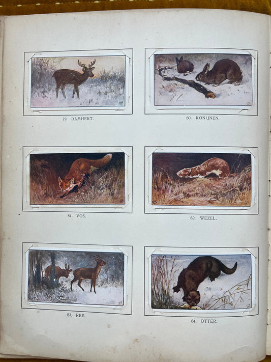 Losse Verkade plaatjes Winter (1909) 79-84