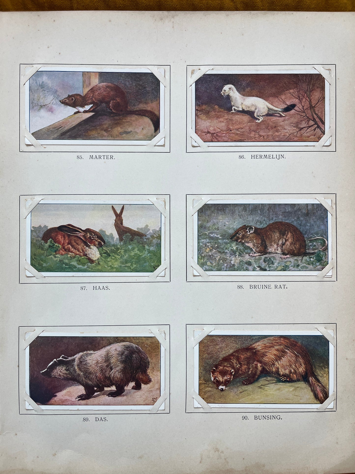 Loose Verkade pictures Winter (1909) 85-90