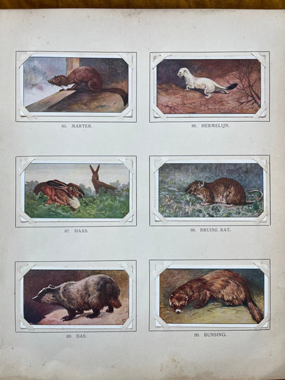 Loose Verkade pictures Winter (1909) 85-90