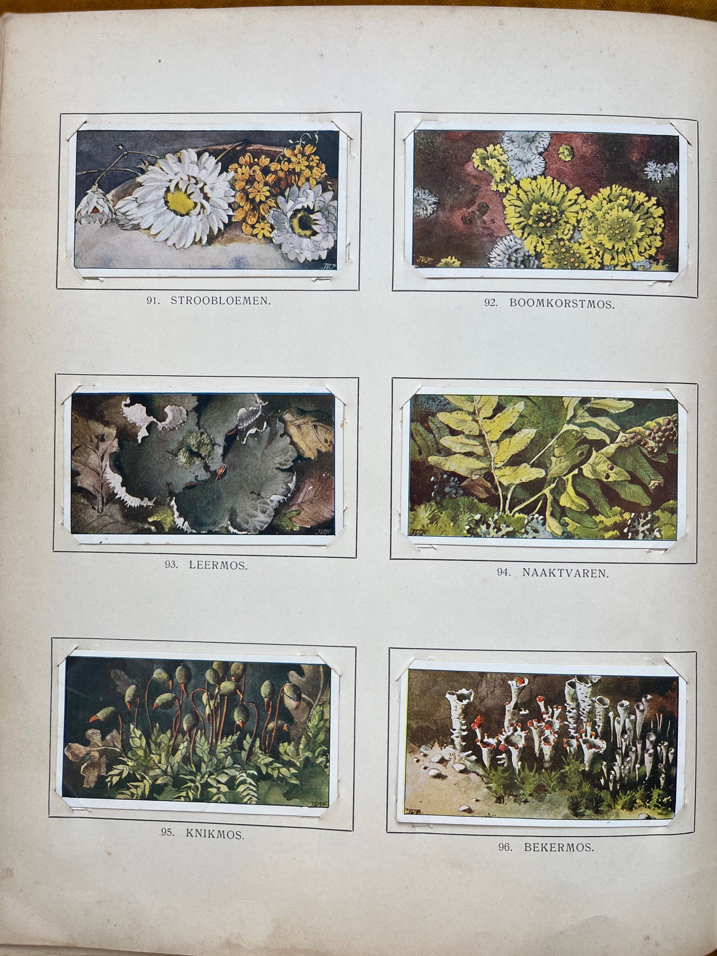 Losse Verkade plaatjes Winter (1909) 91-96