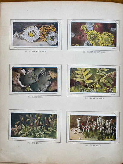 Losse Verkade plaatjes Winter (1909) 91-96