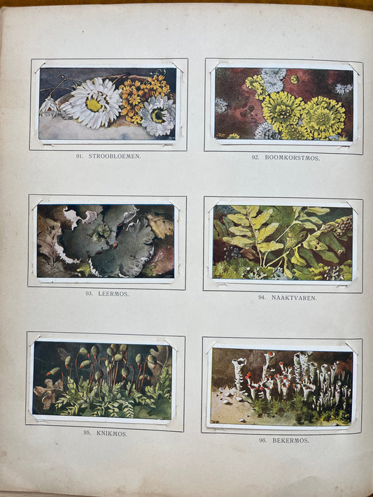 Losse Verkade plaatjes Winter (1909) 91-96