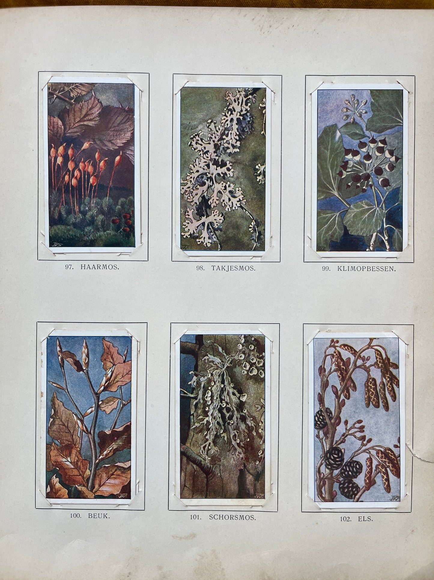 Loose Verkade pictures Winter (1909) 97-102