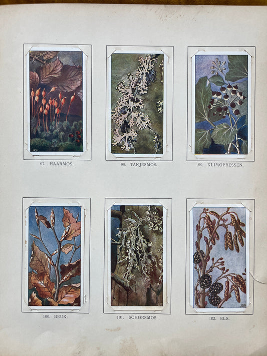 Losse Verkade plaatjes Winter (1909) 97-102