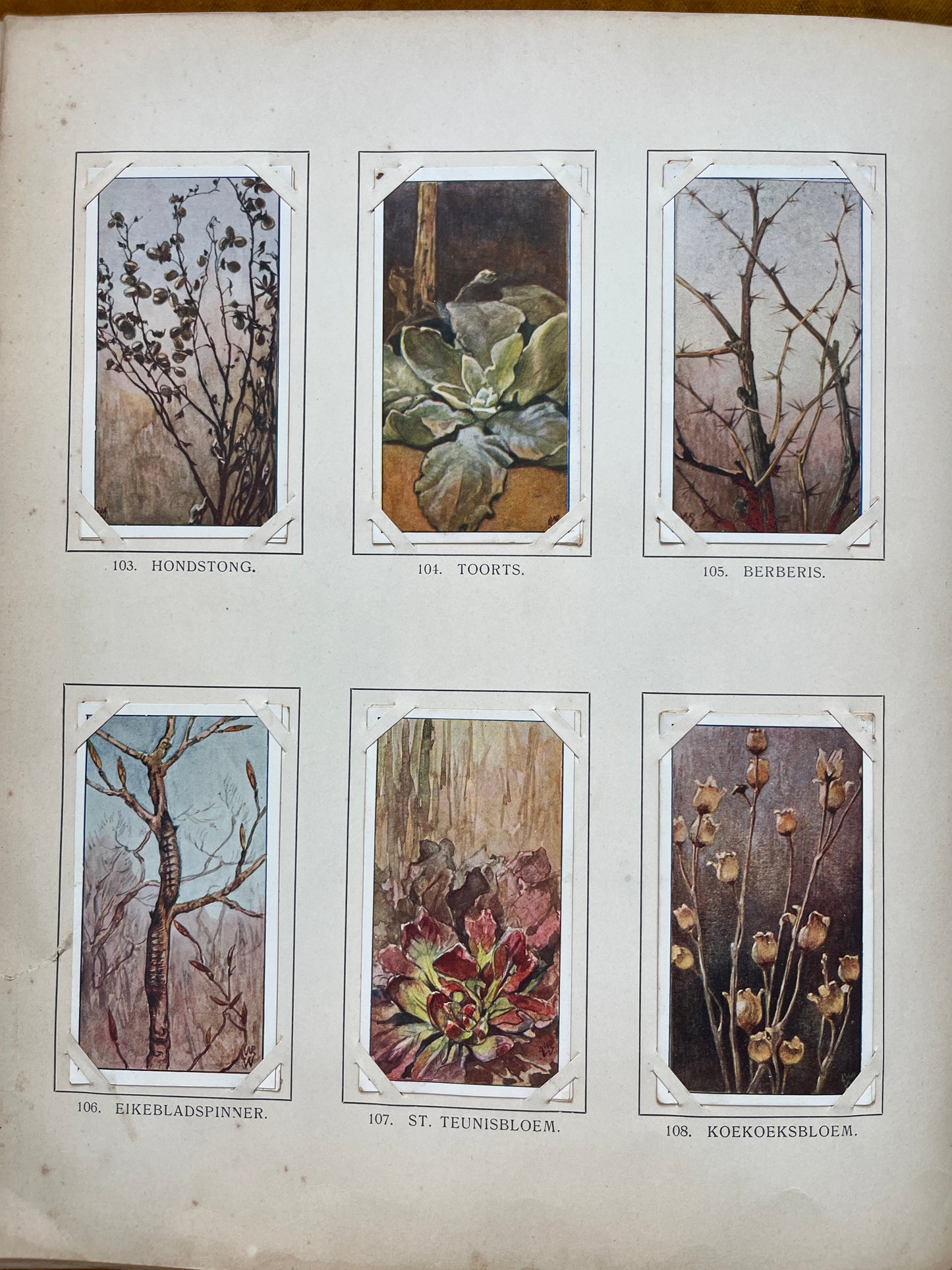 Losse Verkade plaatjes Winter (1909) 103-108