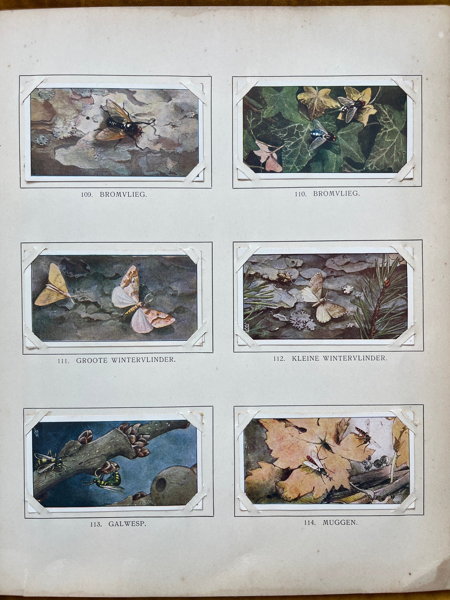 Losse Verkade plaatjes Winter (1909) 109-114