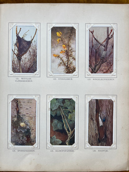 Losse Verkade plaatjes Winter (1909) 121-126