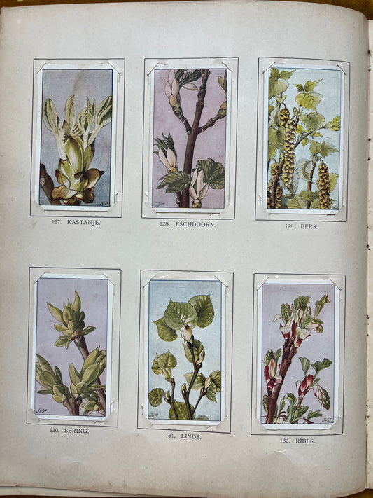 Losse Verkade plaatjes Winter (1909) 127-132