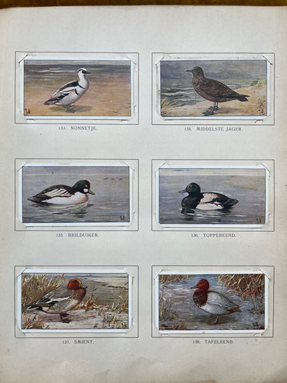 Losse Verkade plaatjes Winter (1909) 133-138