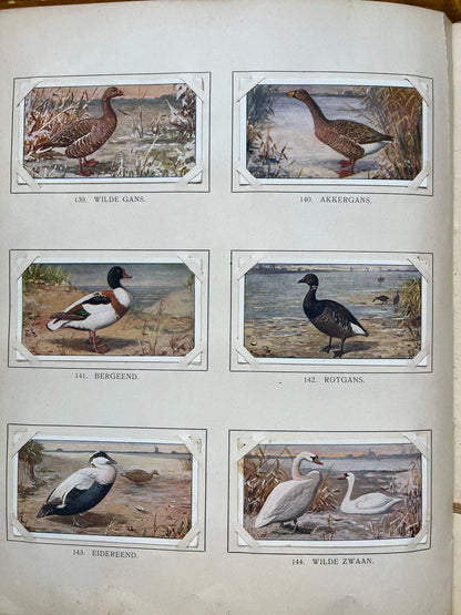 Losse Verkade plaatjes Winter (1909) 139-144