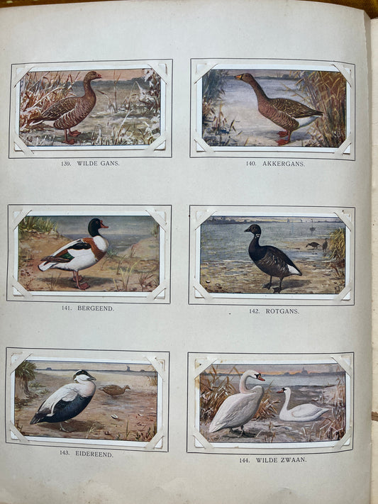 Losse Verkade plaatjes Winter (1909) 139-144