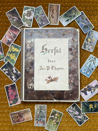 Loose Verkade pictures Autumn (1908) 85-90