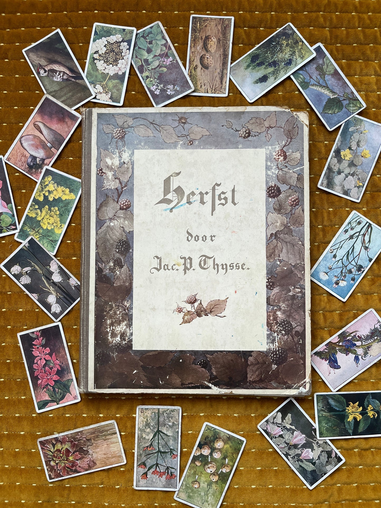 Loose Verkade pictures Autumn (1908) 139-144