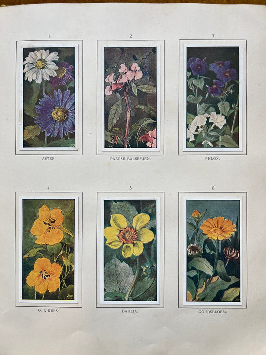 Losse Verkade plaatjes Herfst (1908) 1-6