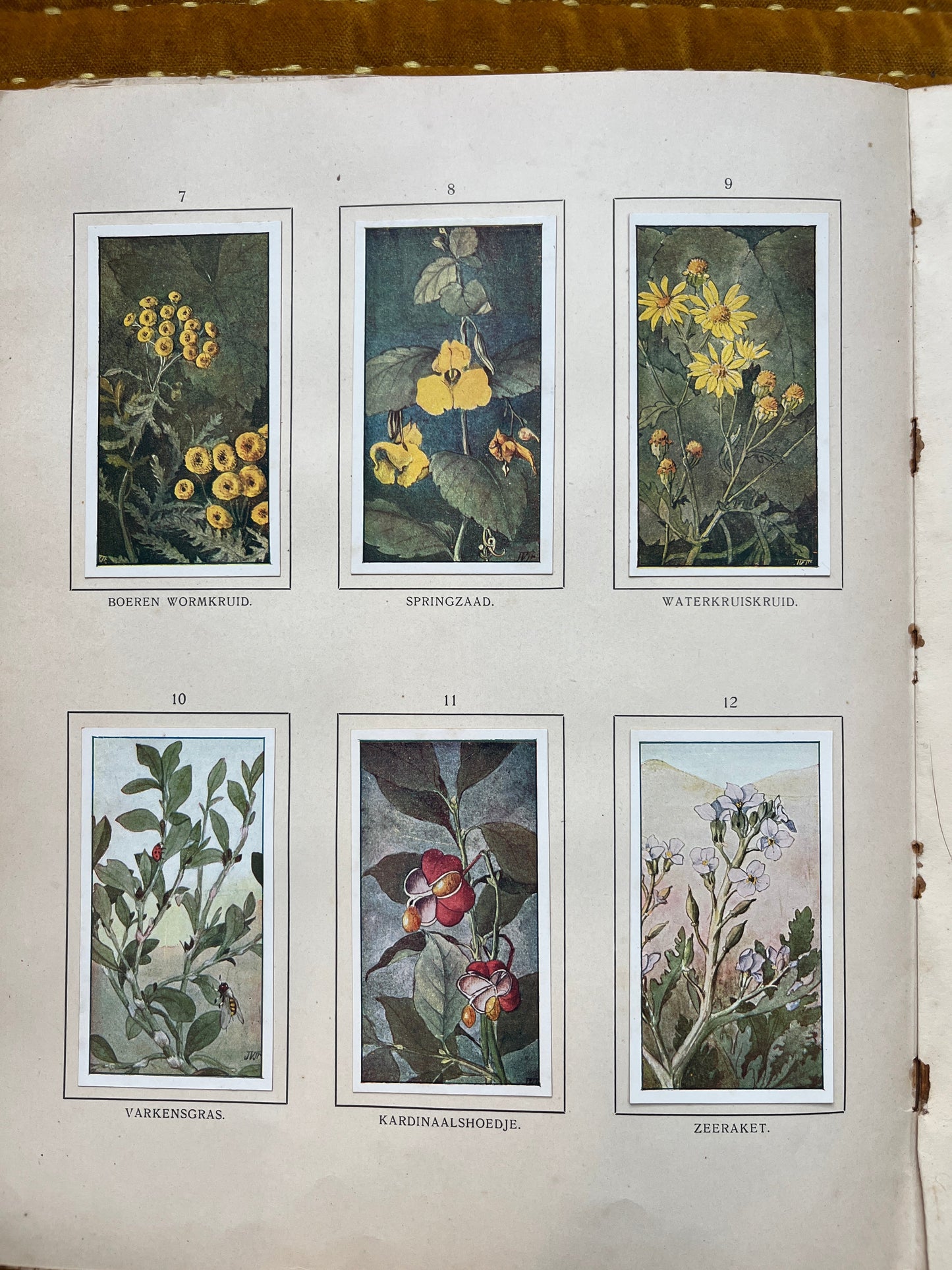 Losse Verkade plaatjes Herfst (1908) 7-12