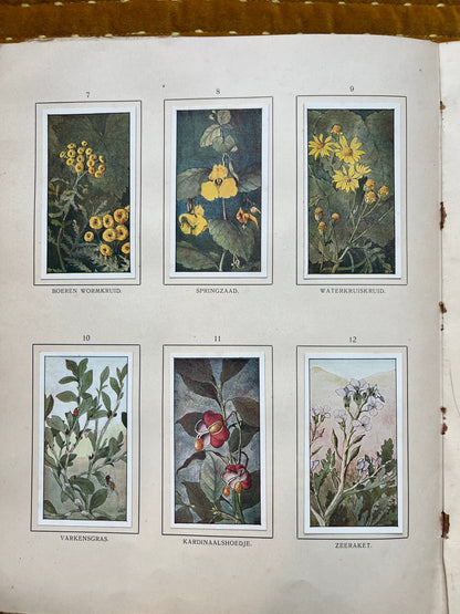 Losse Verkade plaatjes Herfst (1908) 7-12