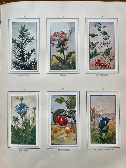 Loose Verkade pictures Autumn (1908) 13-18