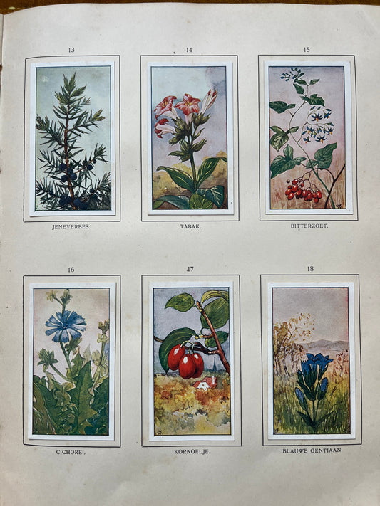 Losse Verkade plaatjes Herfst (1908) 13-18