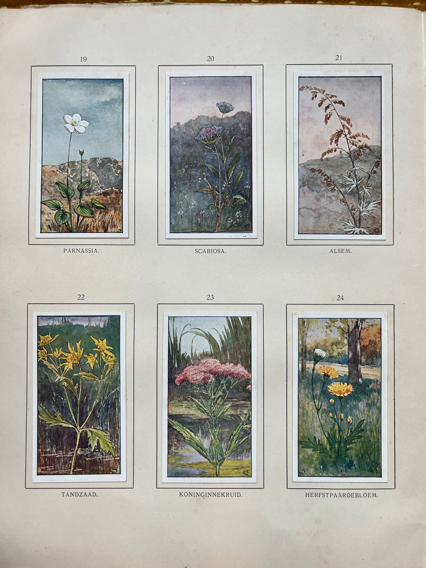 Loose Verkade pictures Autumn (1908) 19-24