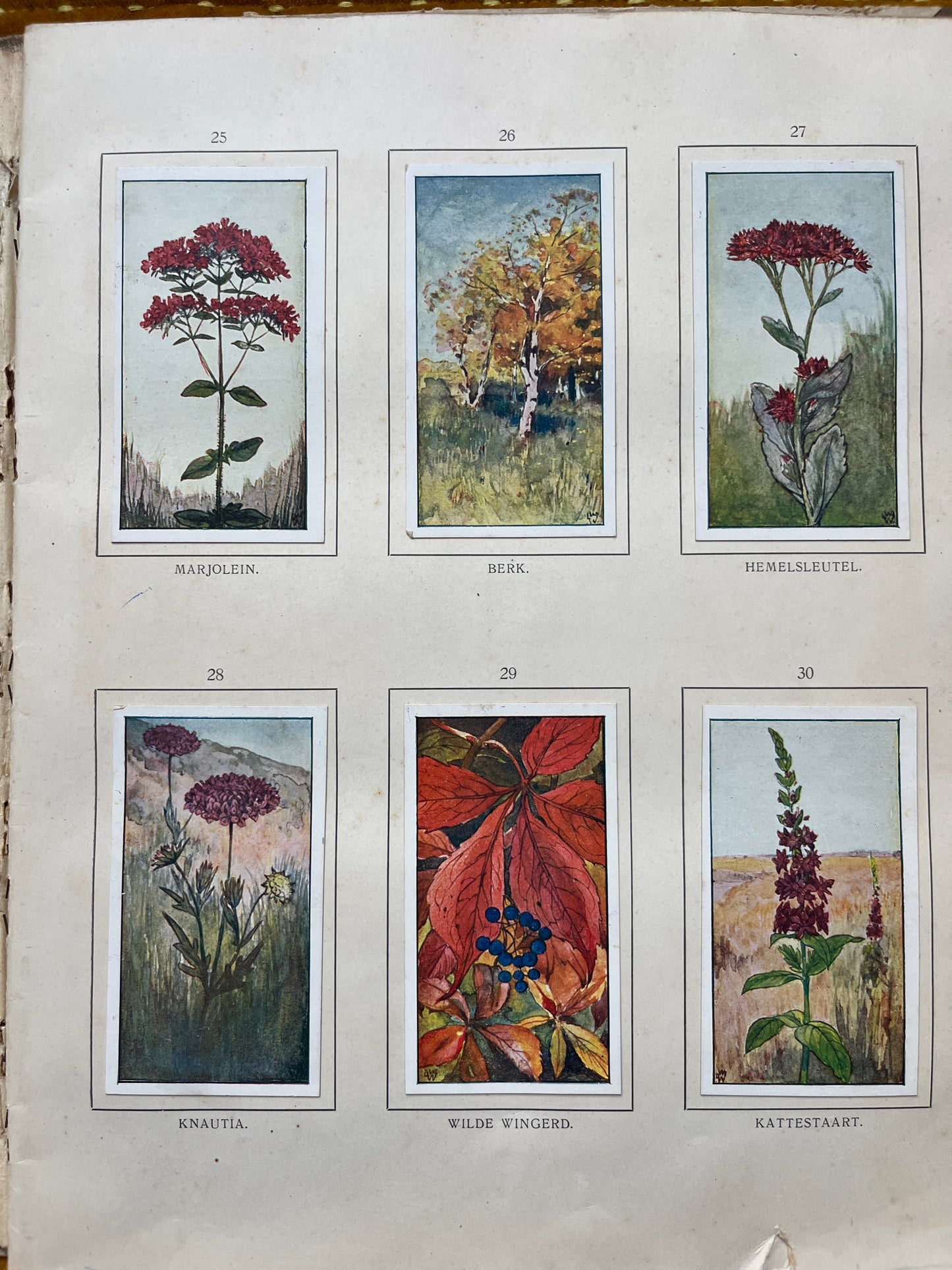 Loose Verkade pictures Autumn (1908) 25-29