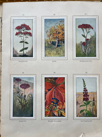 Loose Verkade pictures Autumn (1908) 25-29