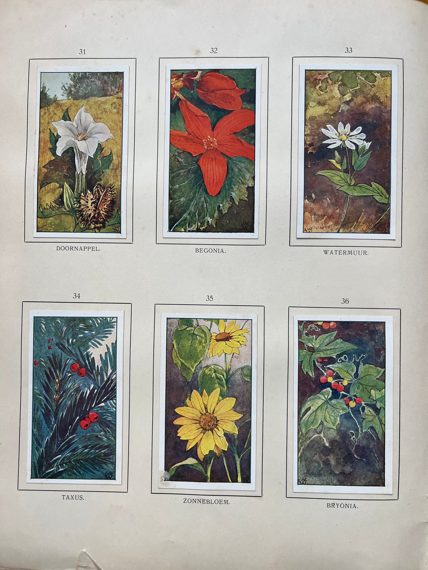 Losse Verkade plaatjes Herfst (1908) 31-36