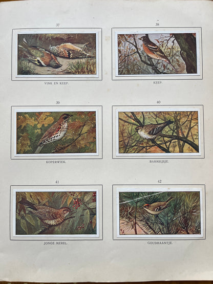 Losse Verkade plaatjes Herfst (1908) 37-42