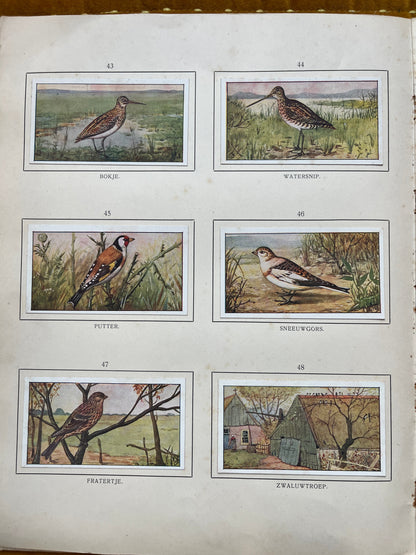 Losse Verkade plaatjes Herfst (1908) 43-48