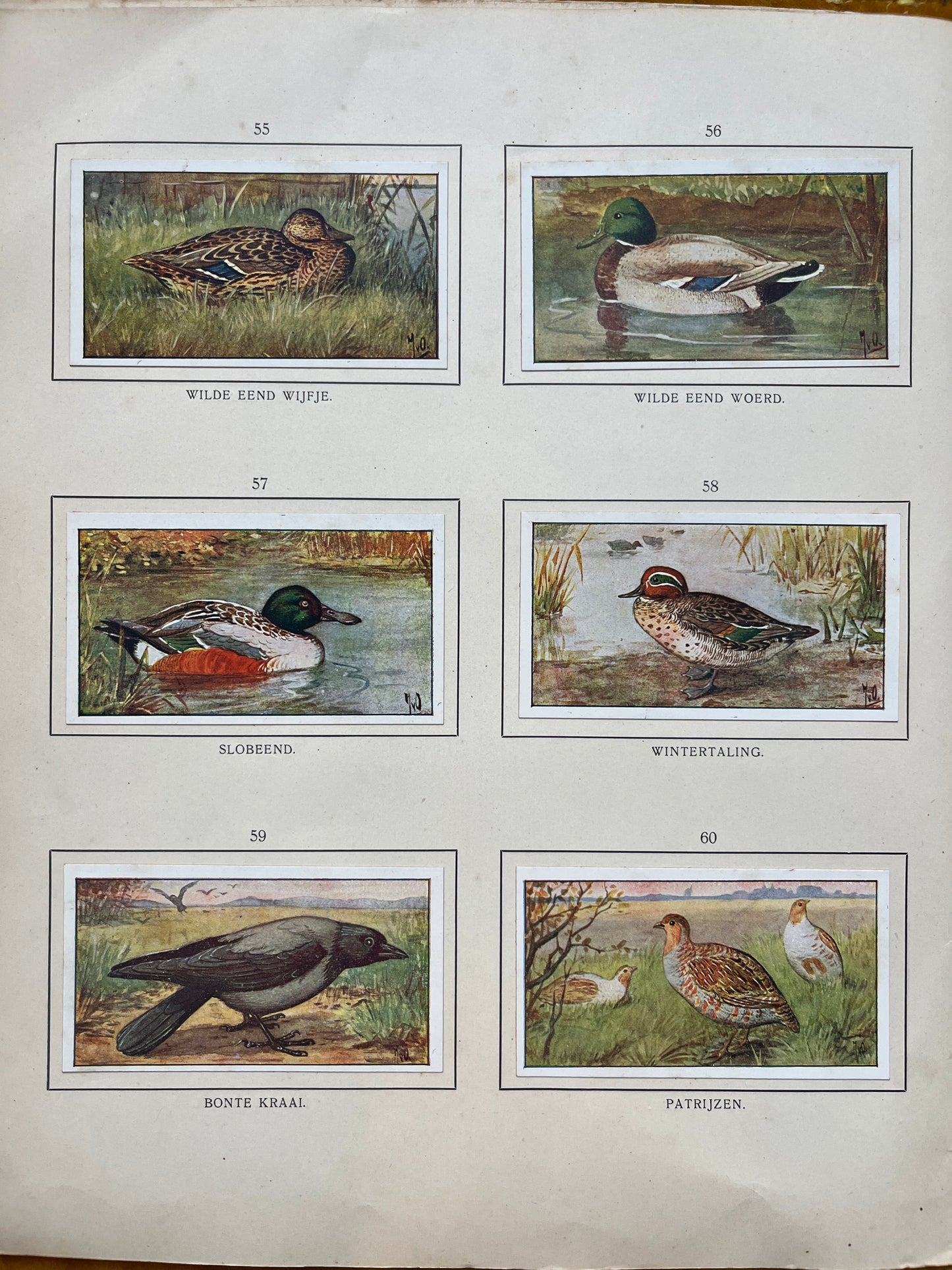 Losse Verkade plaatjes Herfst (1908) 55-60