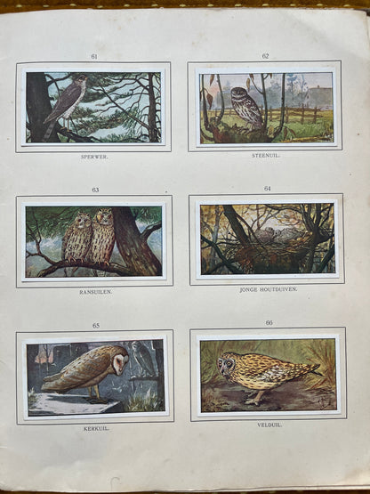 Loose Verkade pictures Autumn (1908) 61-66