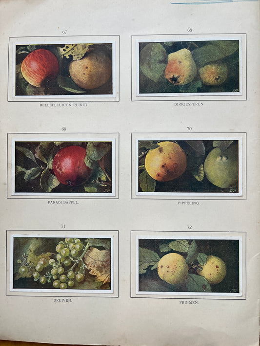 Losse Verkade plaatjes Herfst (1908) 67-72