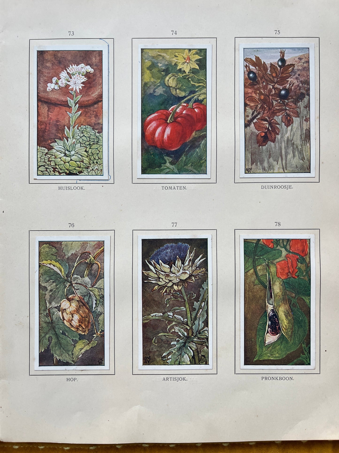 Losse Verkade plaatjes Herfst (1908) 73-78