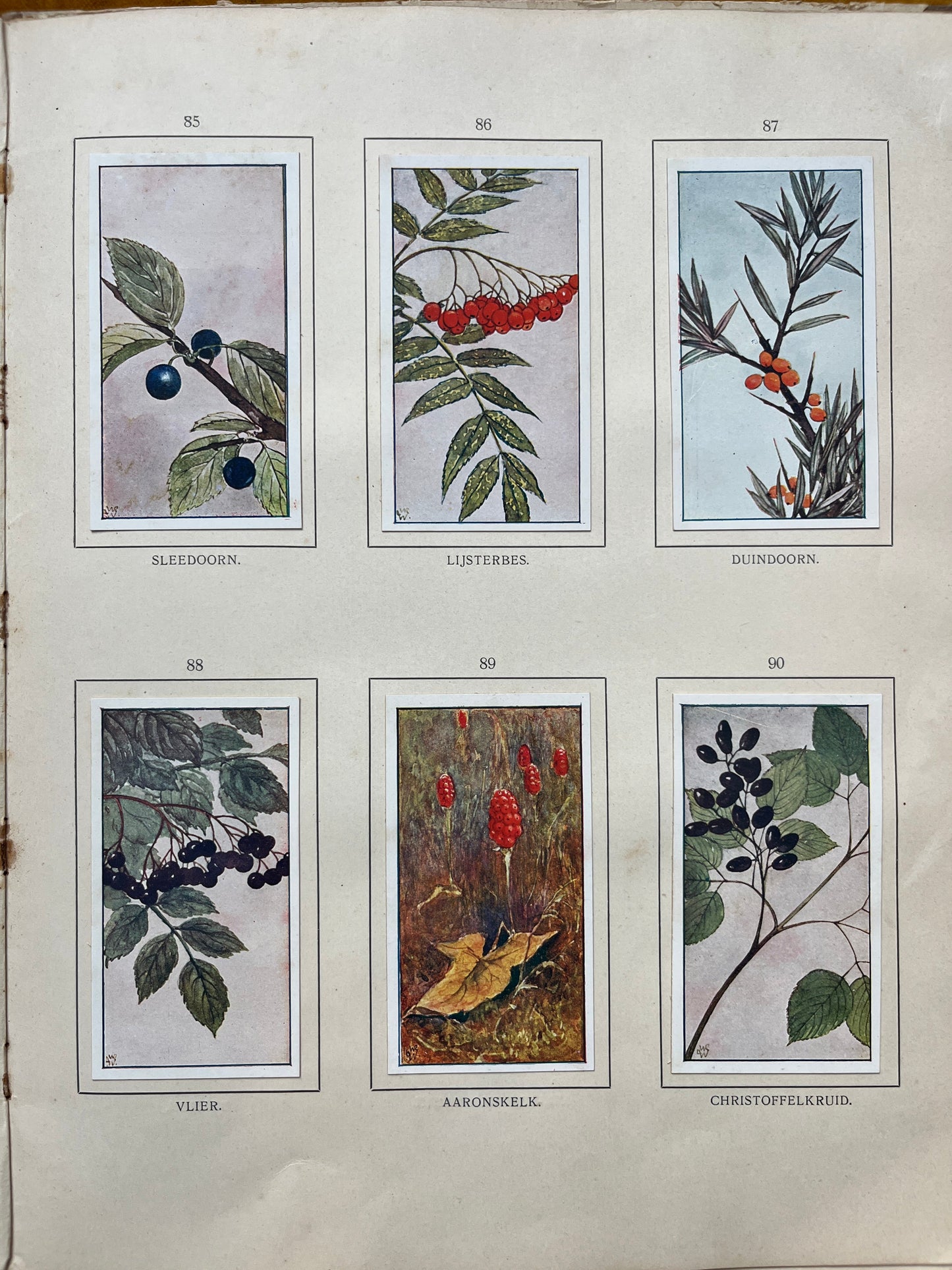 Loose Verkade pictures Autumn (1908) 85-90