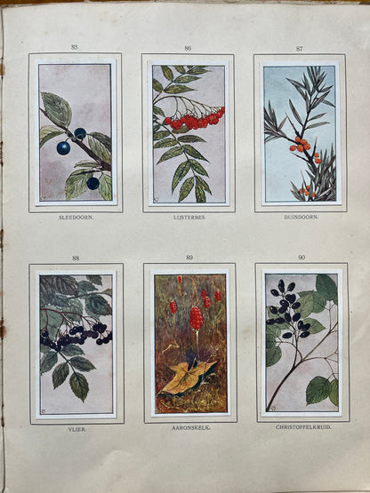 Loose Verkade pictures Autumn (1908) 85-90