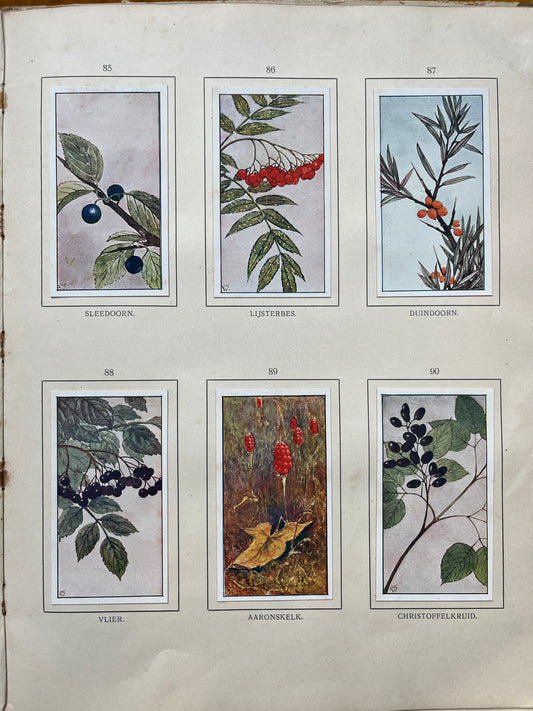 Losse Verkade plaatjes Herfst (1908) 85-90